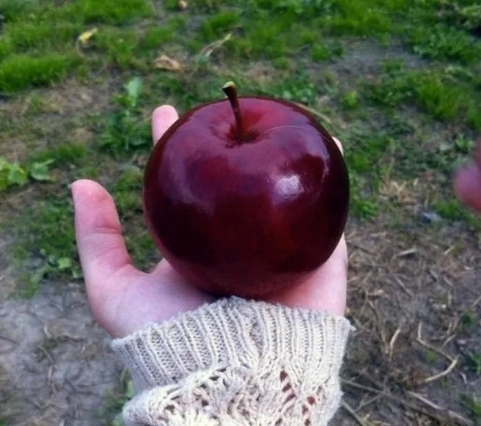 perfectphotos180_005