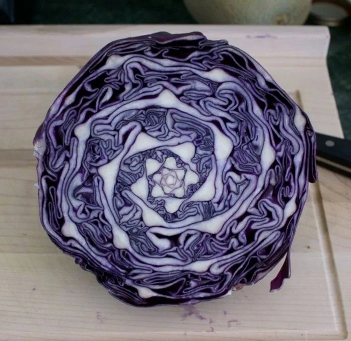 perfectphotos180_012