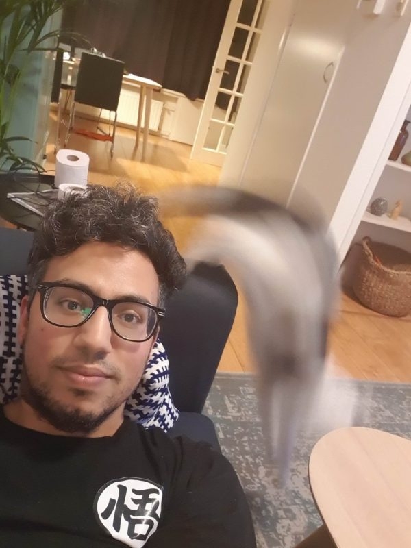 perfectphotos181_032