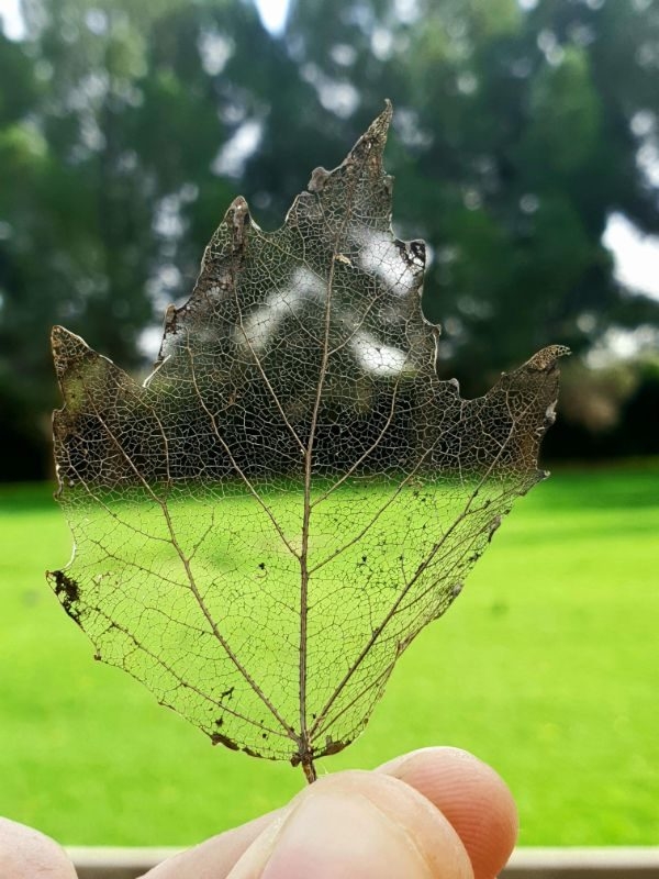 perfectphotos182_022