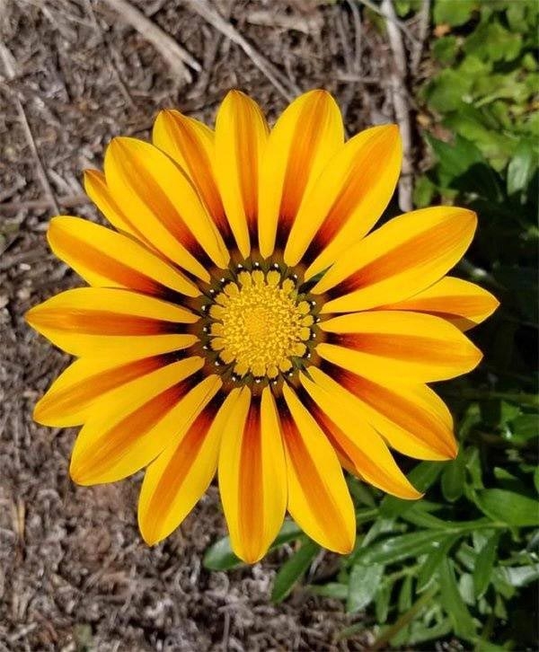 perfectphotos184_010