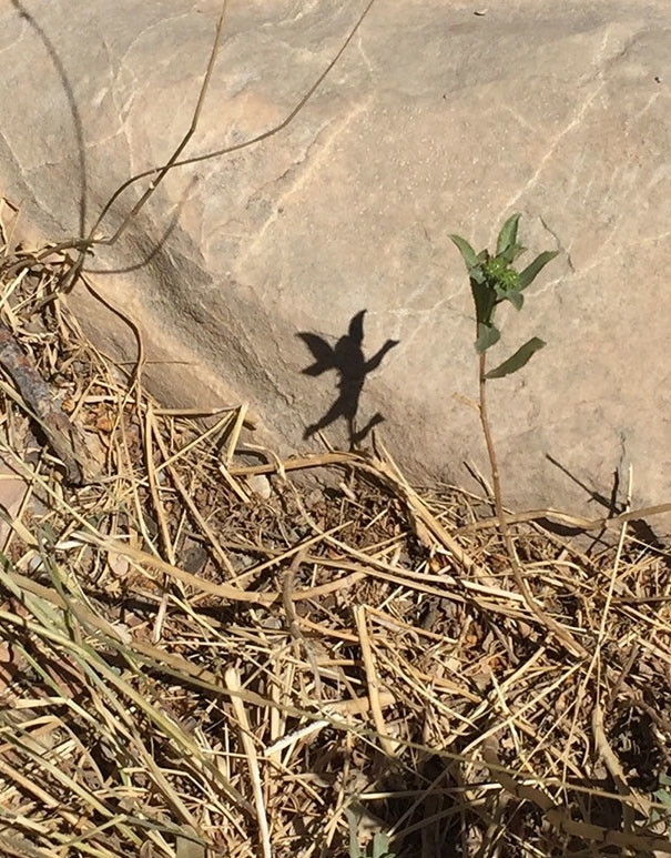 perfectphotos186_012