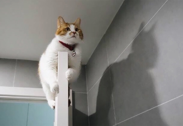 perfectphotos186_016