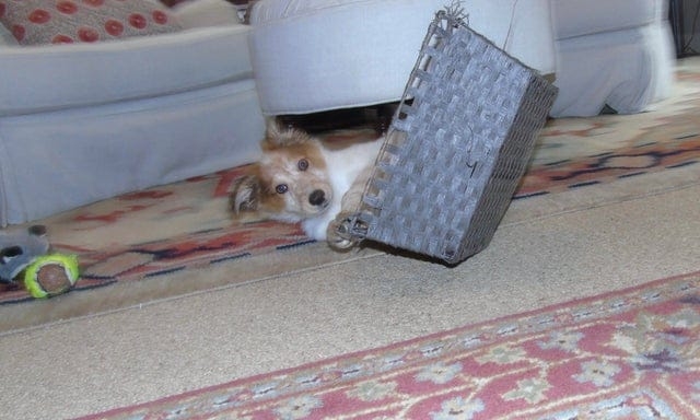 perfectphotos191_032