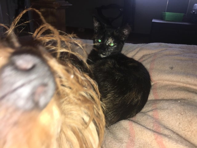 photobombinggoldenglobes2_009