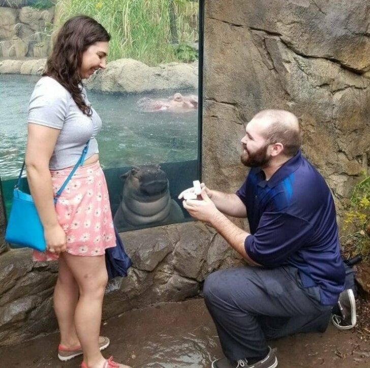 photobombinggoldenglobes2_012