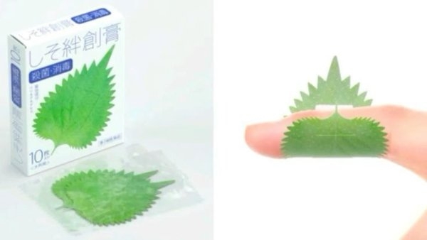 strangedesigns60_025