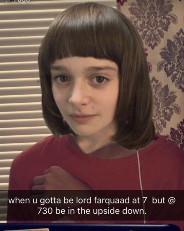 strangerthingsmemes_019