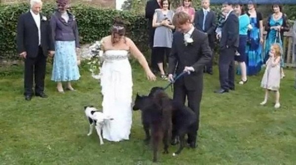 weddingfails2_006