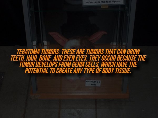 interestingfacts329_006