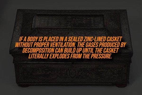 interestingfacts329_011