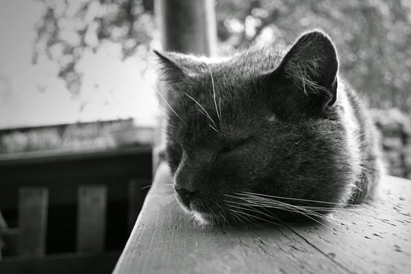 interestingfacts330_001