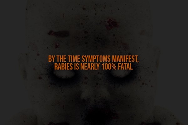 interestingfacts335_008