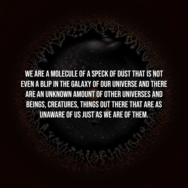 interestingfacts338_003