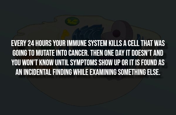 interestingfacts338_004