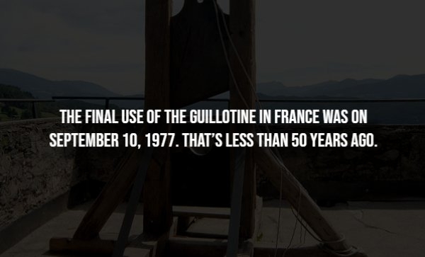 interestingfacts338_005