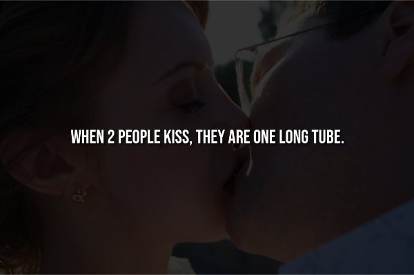 interestingfacts338_008