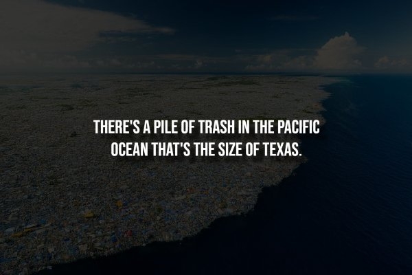 interestingfacts338_009