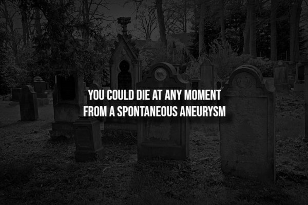 interestingfacts338_010