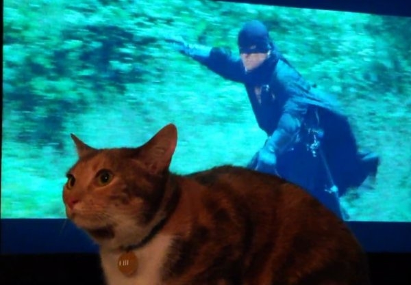 perfectphotos194_004