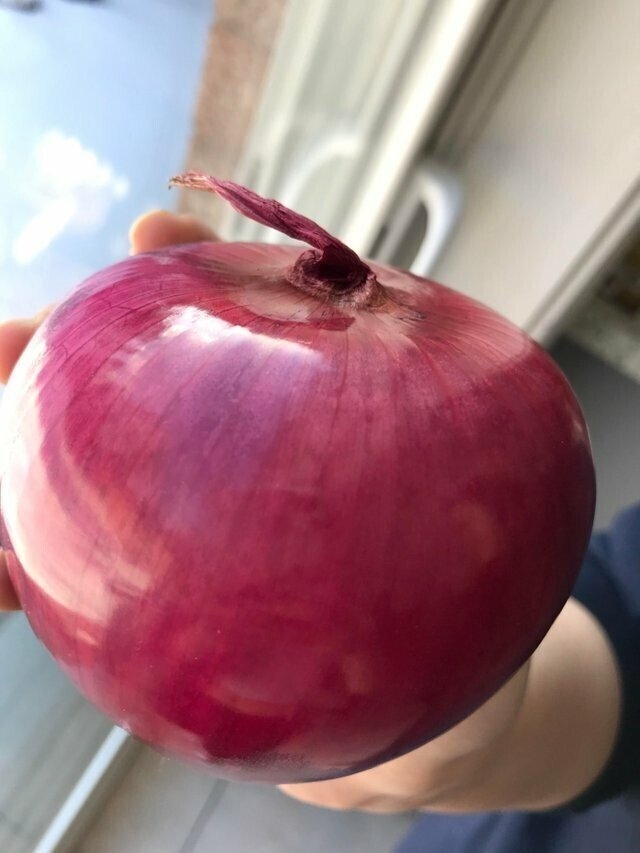 perfectphotos194_025