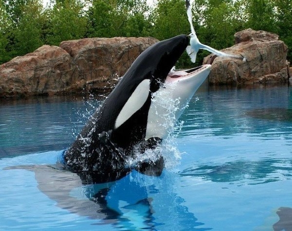 perfectphotos194_039