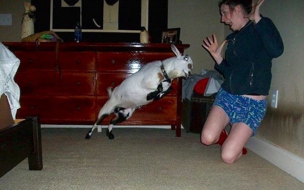 perfectphotos195_008