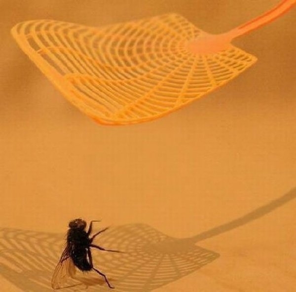 perfectphotos195_018