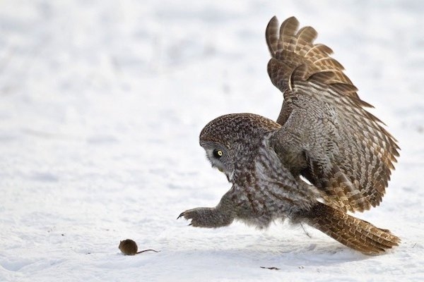 perfectphotos195_021