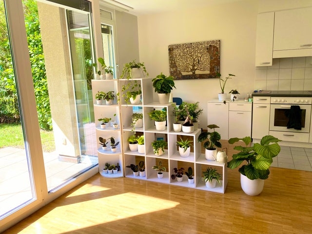 perfectphotos196_018