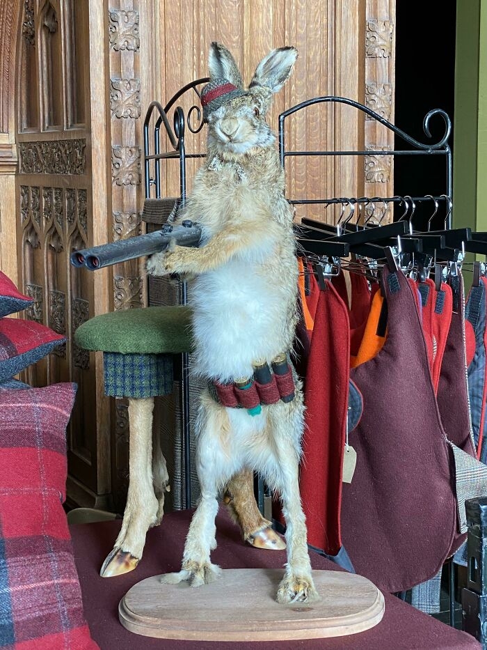 strangedesigns65_028