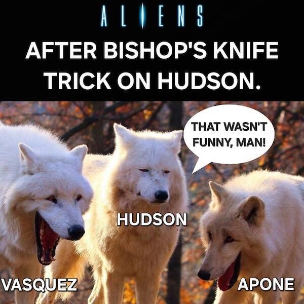 horrormoviememes16_018