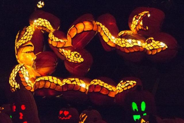 samaze_004-1512 samaze_004-1512