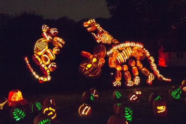 samaze_005-1515 samaze_005-1515