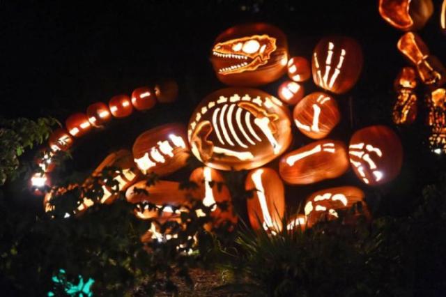 samaze_006-1505 samaze_006-1505