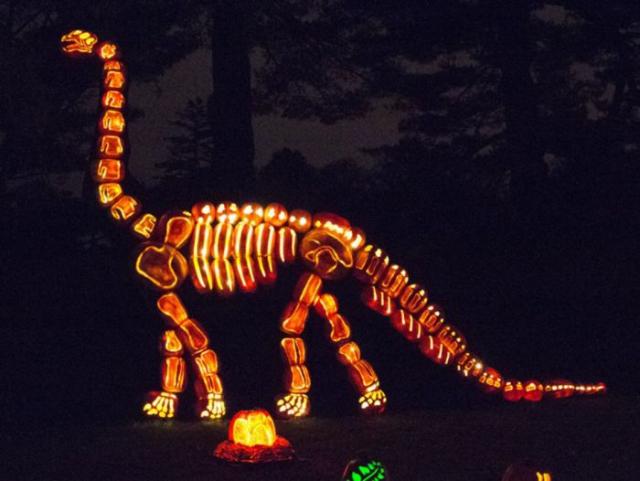 samaze_007-1503 samaze_007-1503