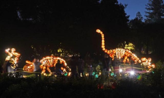 samaze_024-1056 samaze_024-1056