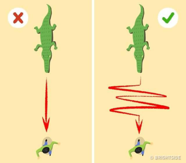 9waystosurvive_003 9waystosurvive_003