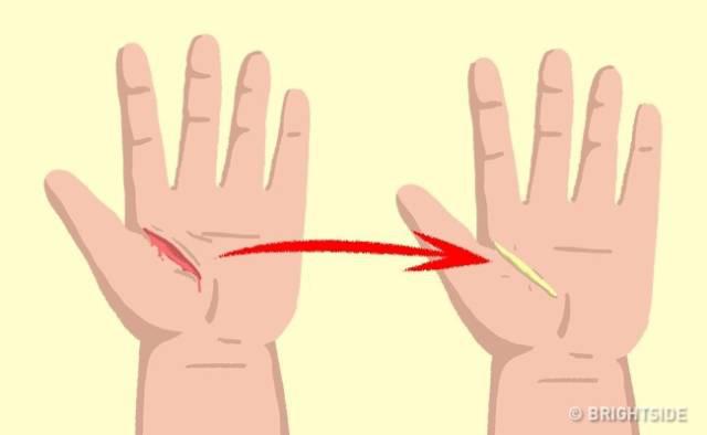 9waystosurvive_006 9waystosurvive_006