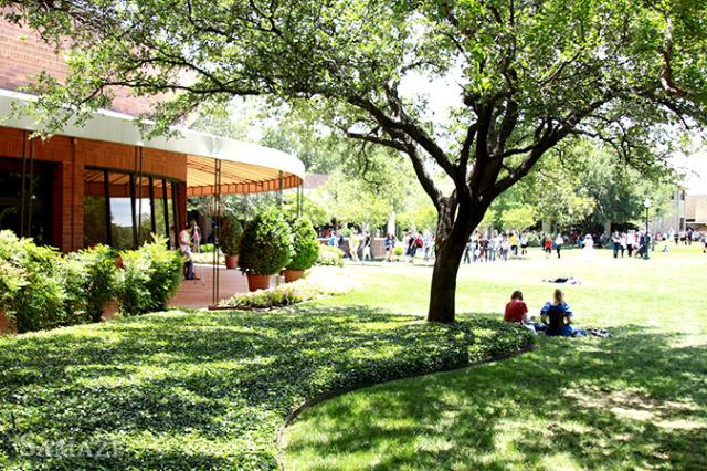 samaze_222-7 samaze_222-7