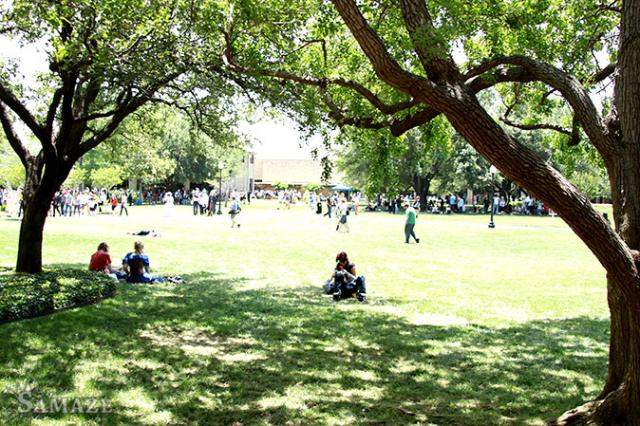 samaze_223-7 samaze_223-7