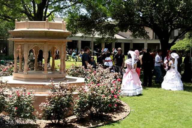 samaze_226-5 samaze_226-5