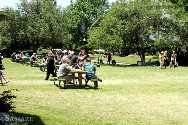 samaze_228-5 samaze_228-5