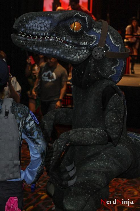 samaze_121-208 samaze_121-208