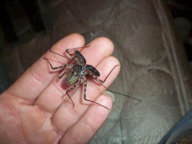 samaze_003-752 samaze_003-752