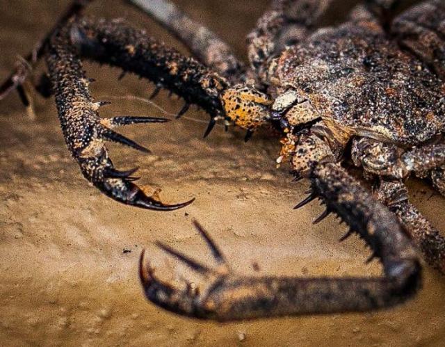 samaze_005-755 samaze_005-755