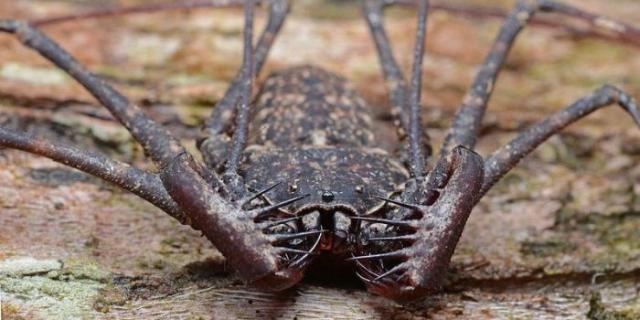 samaze_018-610 samaze_018-610