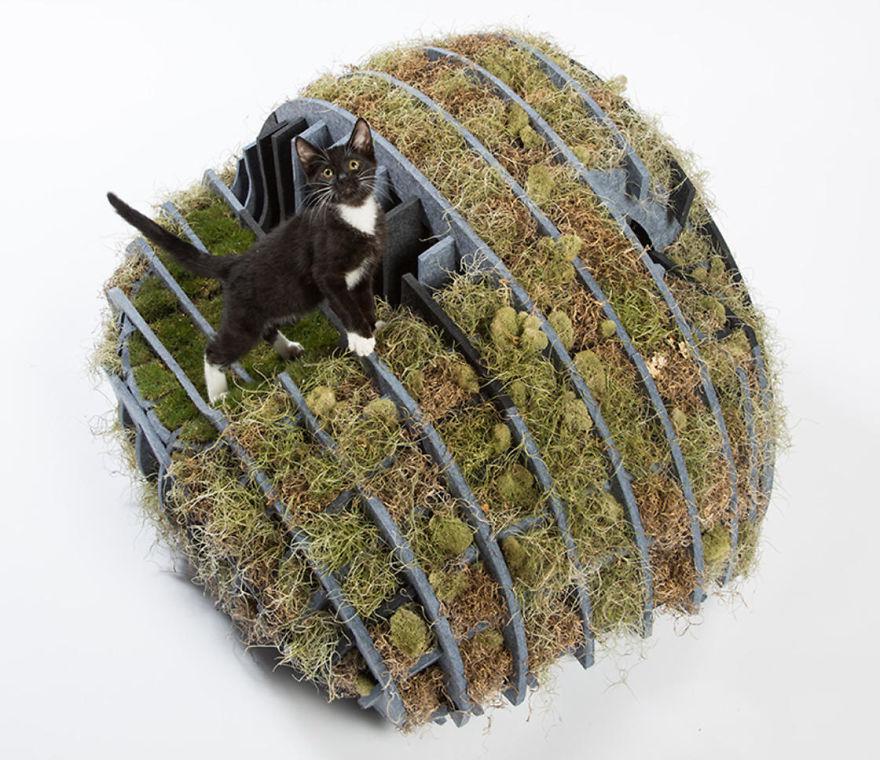 architectcathomes_005 architectcathomes_005