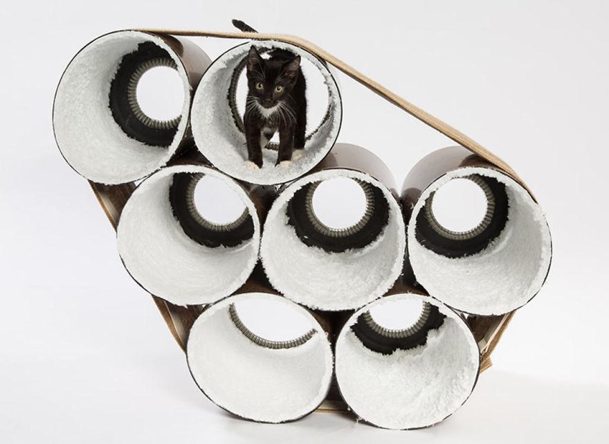 architectcathomes_006 architectcathomes_006