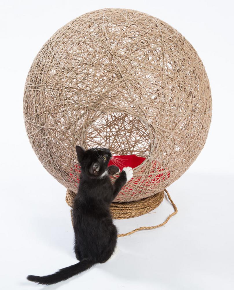 architectcathomes_013 architectcathomes_013